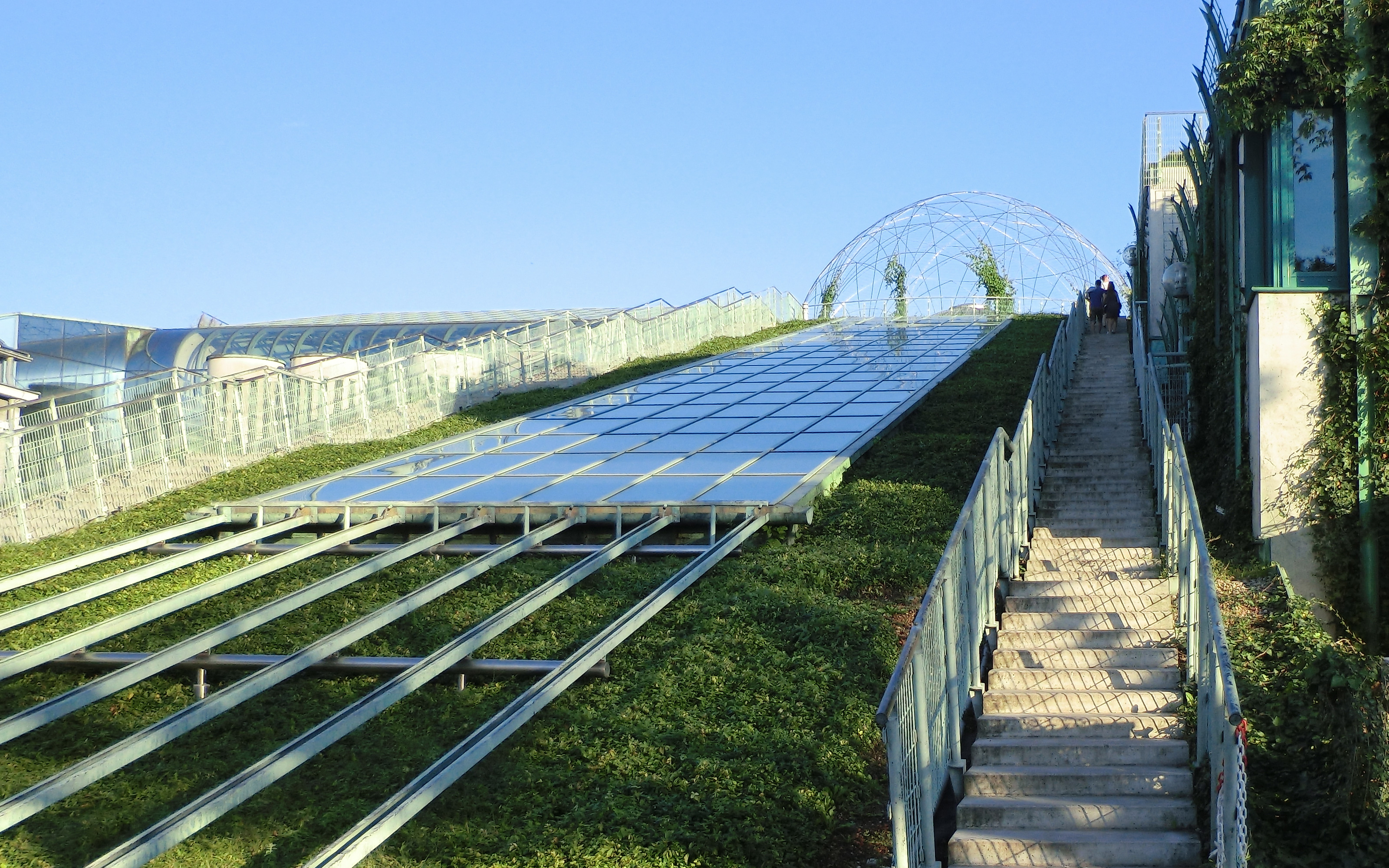 Pitched green roof 